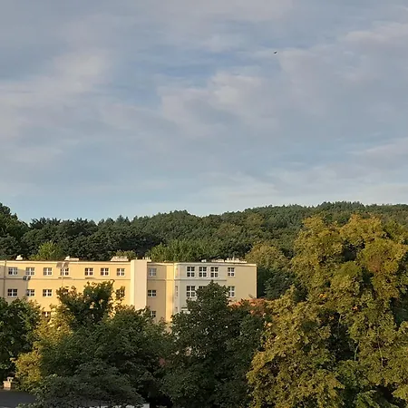 Leszczynki Apartment